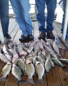 Fishing with Crosswinds Guide Service 4-8-2016