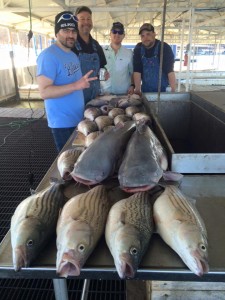 Fishing trip with Glen Shirley StriperCat Guide Service 2-2016