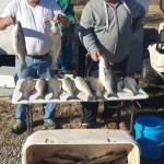 Fishing with Little John Texoma Striper Guide Service 12-8-2015