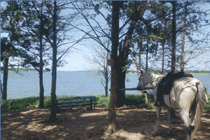 Platter Flats Campground – Lake Texoma