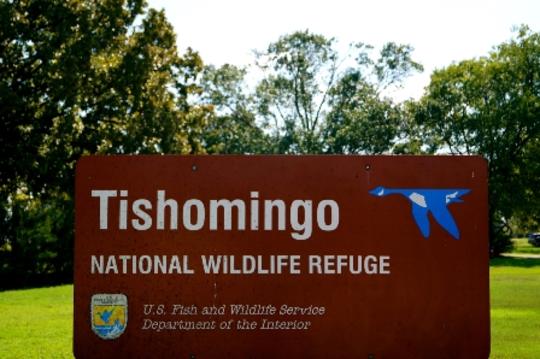 Tishomingo National Wildlife Refuge Hiking