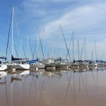 Cedar Mills Boat Docks