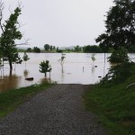 High water RiverView 5-24-2015