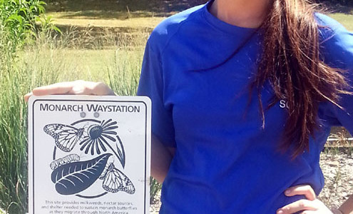 Hagerman NWR Butterfly Garden Certified Monarch Waystation Hagerman NWR Butterfly Garden Certified Monarch Waystation