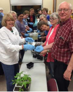 Grayson County Master Gardener Intern Training 