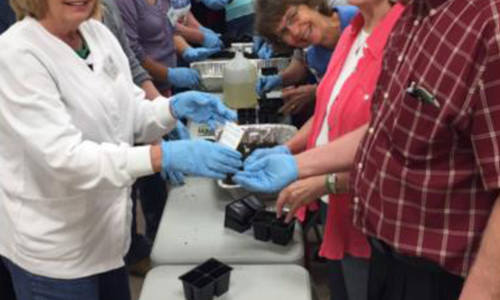 Grayson County Master Gardener Intern Training