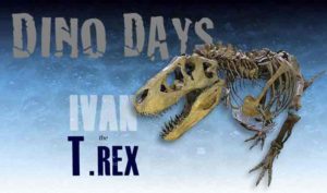 Dino Days T Rex