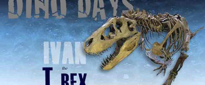 Dino Academy Registration Now Open Dino Academy