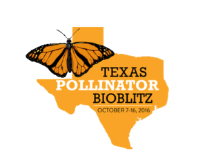 Texas Pollinator BioBlitz