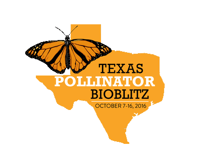 Hagerman NWR Texas Pollinator BioBlitz Events Hagerman NWR Texas Pollinator BioBlitz Events
