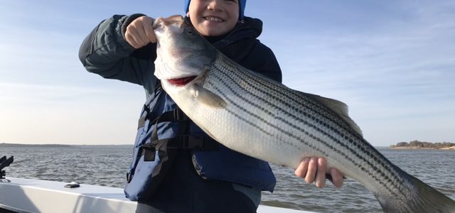 Lake Texoma 2016, What a Year!