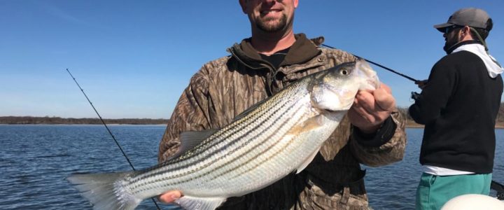 Lake Texoma Mid-Winter Fishing Report