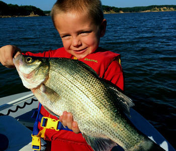 Take a Kid Fishing by Bill Carey