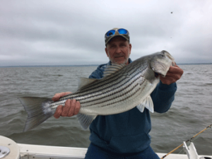 Lake Texoma early spring fishing report - Jerry Dorsey