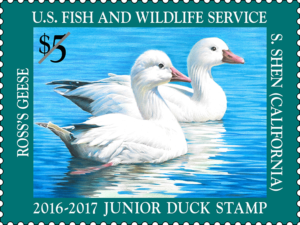 Federal Junior Duck Stamp Exhibit 