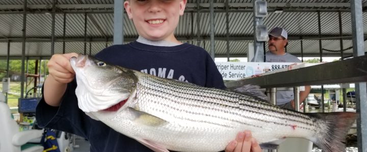 Big Striper Lake Texoma