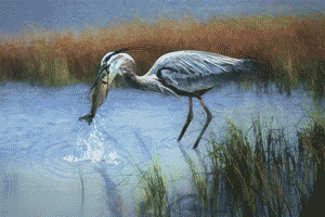 Hagerman National Wildlife Refuge 9th Annual Photography Contest