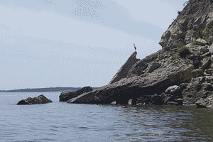 Lake Texoma Fisheries Status Meeting