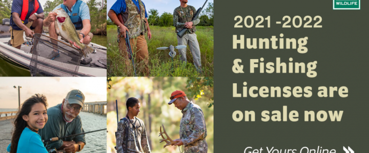 TPWD Hunting and Fishing License