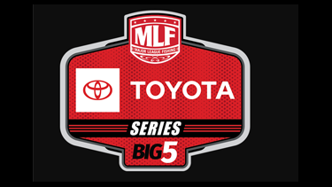 Toyota Series logo