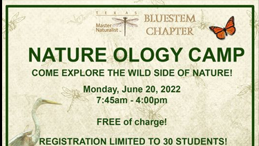 Nature ology camp