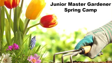 Junior Master Gardener Spring Camp