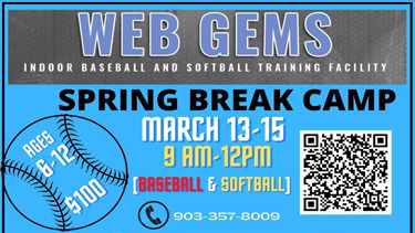Web Gems Spring Break Camp
