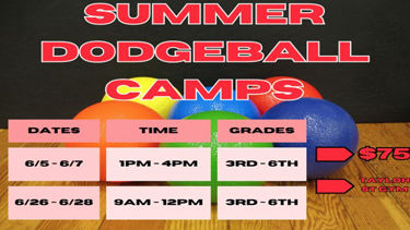 Summer Dodgeball Camps
