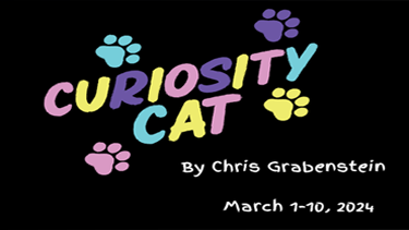 Curiosity Cat