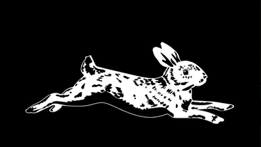 The White Rabbit Coffee House