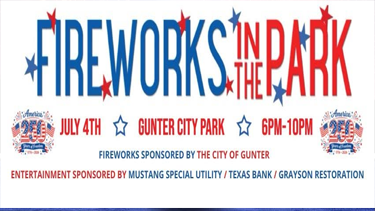 Gunter Fireworks in the Park